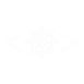 The Code Cruise